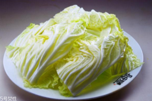 白菜的營養價值與功效