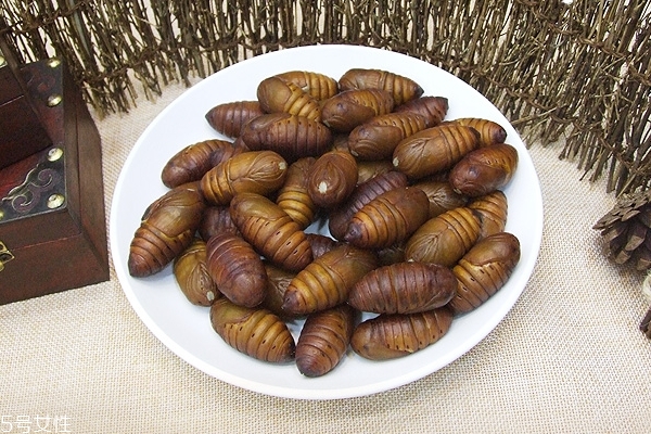 蠶蛹是發物嗎 屬于發物