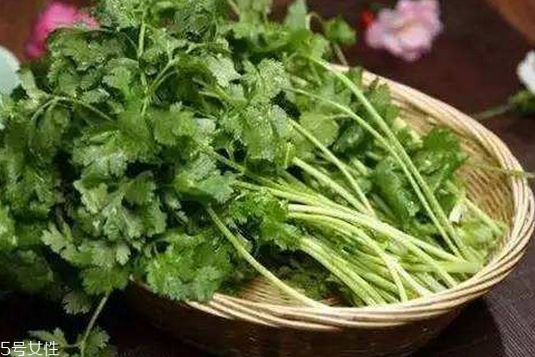 香菜會殺精嗎 沒有真實依據