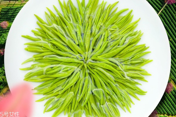 明前茶和雨前茶的區別 明前茶好還是雨前茶好