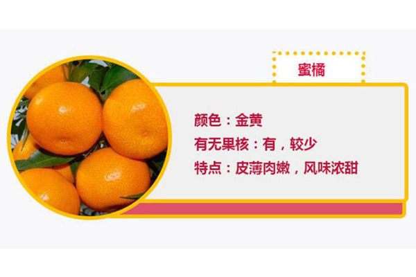 蜜橘和砂糖橘如何區分 蜜橘和砂糖橘的圖片