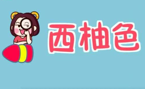 豆沙色和西柚色的區(qū)別 豆沙色和西柚色哪個好看？