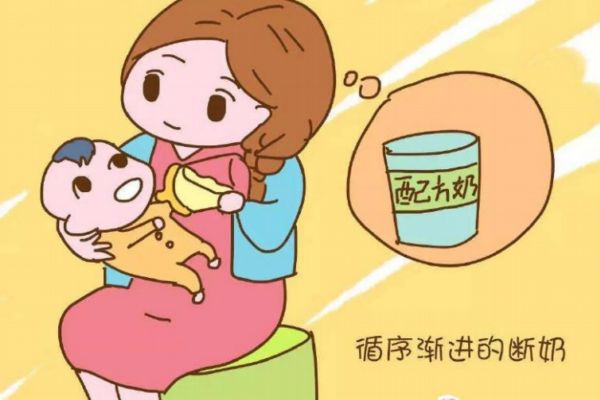 寶寶斷奶要準備什么呢 斷奶最佳時節