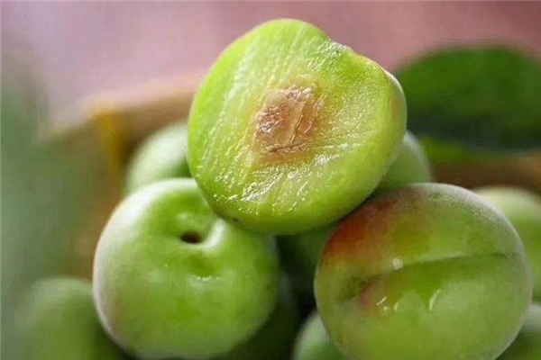 青梅是發物嗎 不屬于這個類別