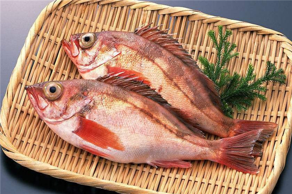 坐月子可以吃加吉魚嗎 有益產婦傷口愈合