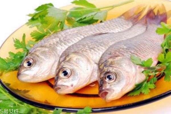 吃魚會(huì)長(zhǎng)胖嗎 減肥人晚上能吃魚嗎
