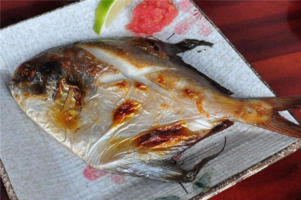白鯧魚和金鯧魚哪個好 白鯧魚和金鯧魚區別對比