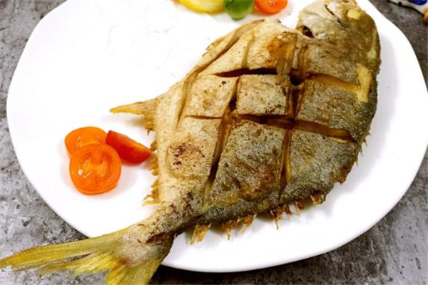 金鯧魚和鯧魚的區別 要學會分清