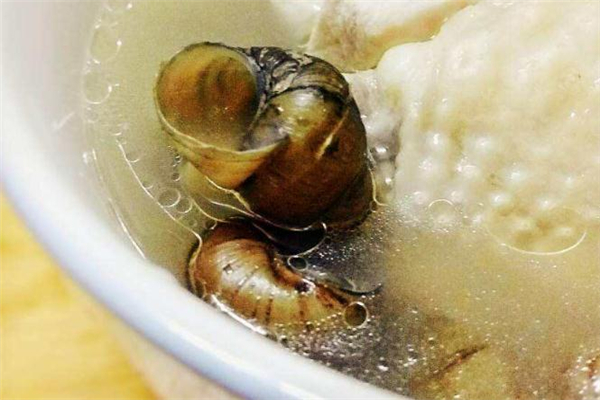 石螺雞湯的做法 健康養生食譜