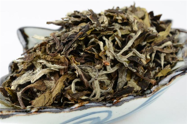 老白茶的功效與作用 營養價值豐富