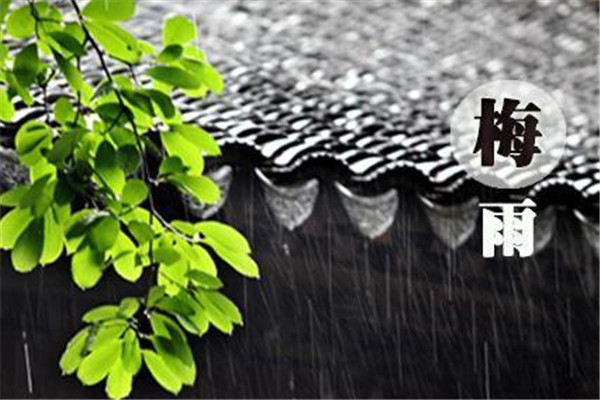 梅雨季節怎么防潮 梅雨季節防潮的方法