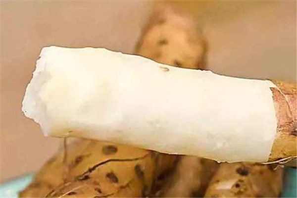 山藥和淮山有什么區別 什么是淮山