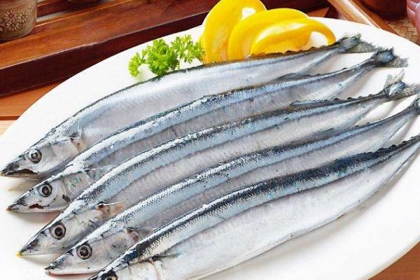 什么是秋刀魚呢 秋刀魚有什么營養價值呢