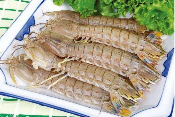 什么是蝦爬子呢 蝦爬子有什么營養呢