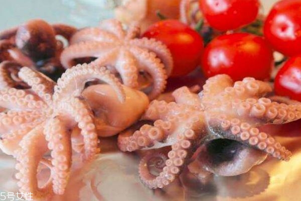 魷魚有什么營養價值呢 吃魷魚有什么好處呢