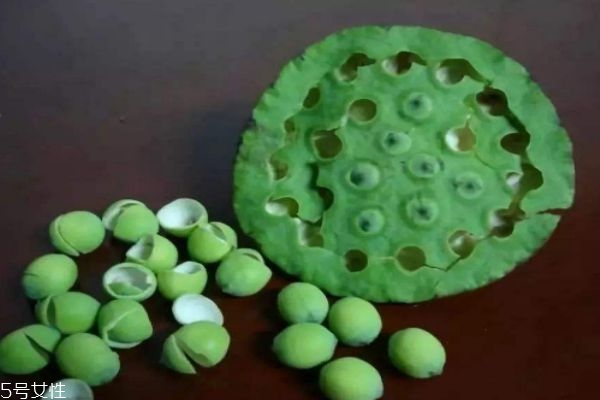 蓮蓬生長在水里嗎 蓮蓬一般什么季節成熟呢