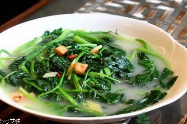 菠菜生長在什么環境中呢 菠菜多少錢一斤呢
