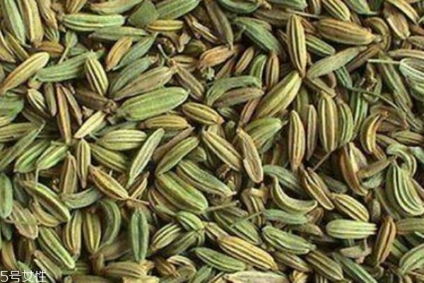 什么是小茴香呢 小茴香有什么營養價值呢 