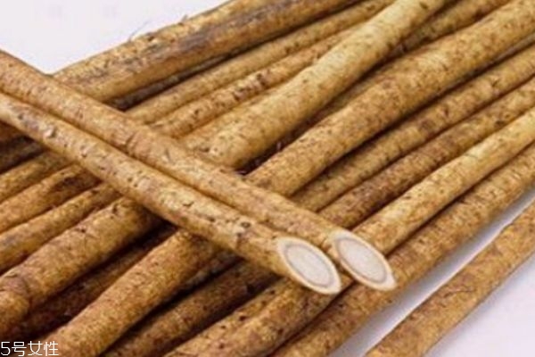 什么是牛蒡呢 牛蒡有什么營養價值呢