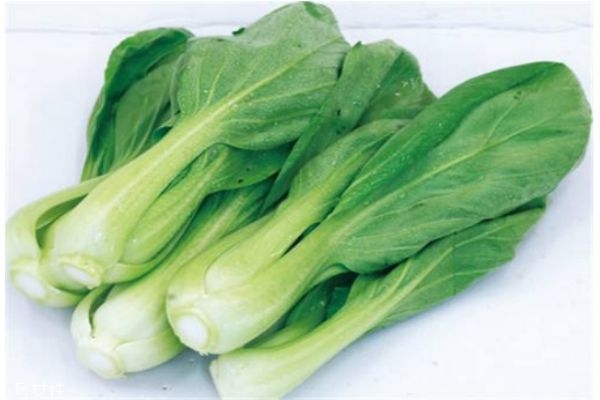 小白菜有什么營養價值呢 吃小白菜有什么好處呢