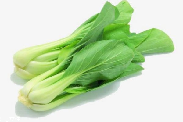 小白菜有什么營養價值呢 吃小白菜有什么好處呢