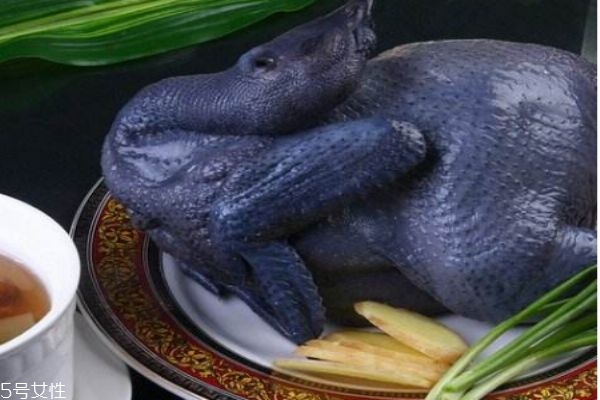 什么是烏骨雞呢 烏骨雞有什么營養價值呢