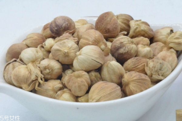 什么是白豆蔻呢 白豆蔻有什么營養價值呢