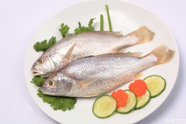 什么是白姑魚呢 白姑魚有什么營養價值呢