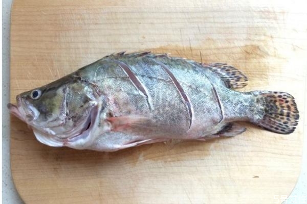 什么是鱖魚呢 鱖魚有什么營養價值呢