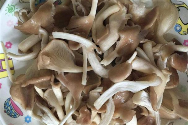 吃了發霉的平菇怎么辦 怎么看平菇有沒有發霉