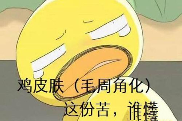 毛周角化和脂肪粒的區別 毛周角化和脂肪粒有什么不一樣