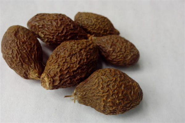 胖大?？梢灾温匝恃讍?胖大?？梢灾慰人詥?></p><h3>胖大海的功效與作用</h3><p>第一、改善咽部疾病</p><p>很多人出現(xiàn)咽喉腫痛是因為在咽喉部位有熱毒或者肺熱等等問題導致，在治療的時候要以清利咽喉和去熱毒為主，而胖大海本身屬于寒涼性的藥物，它可以幫助達到泄肺熱和清熱解毒效果，如果能夠搭配上其他的同類中藥服用，效果還會更理性一些，不僅如此，它還能夠幫助改善聲音嘶啞甚至是失音問題呢。</p><p>第二、改善肺熱、肺燥和咳嗽問題</p><p>如果風熱侵蝕到人的肺部就會導致咳嗽等等問題出現(xiàn)，而且，這樣的情況下要么沒有痰，要么痰的顏色是非常黃而且很濃的，這個時候選擇服用胖大海的話則能夠幫助改善這種咳嗽癥狀，但是，直接用它泡水改善效果并不明顯，最好是搭配上魚腥草、蘆葦根或者是黃芩等等一起來服用。</p><p>第三、改善大便干燥問題</p><p>胖大海本身是寒涼性的藥物，在清腸通便方面有比較明顯的效果，所以，在臨床上可以用于改善因為大腸熱積導致的便秘或者排便不通暢問題，不過，它僅僅適合癥狀比較輕的情況，如果問題嚴重則需要搭配其他的藥物才行。</p>		</div>
<div align=