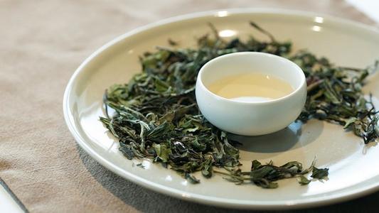 政和白茶產于哪個地方 政和白茶的功效