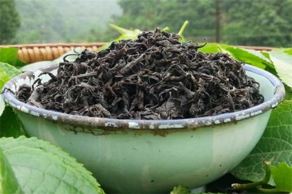 孕婦可以喝杜仲茶嗎 月經期可以喝杜仲茶嗎