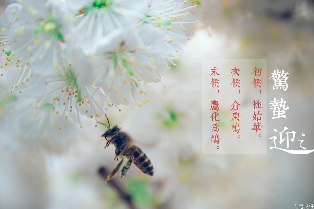 驚蟄適合吃什么菜 驚蟄吃什么食物養生