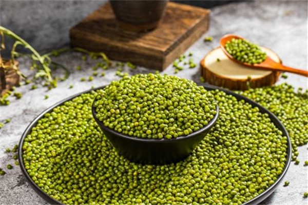 綠豆能解毒嗎 綠豆什么季節最適合吃