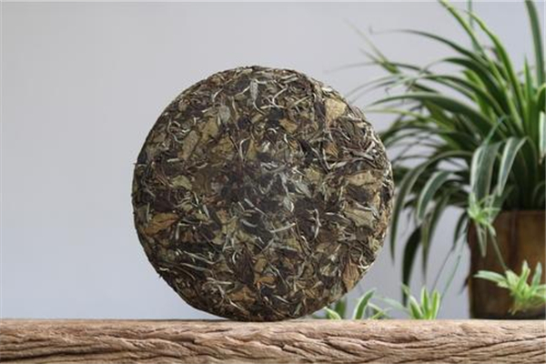 茶餅可以放多久 茶餅發霉了還可以喝嗎