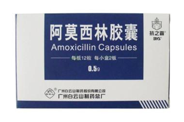 阿莫西林和頭孢哪個消炎效果好 阿莫西林和頭孢有什么區別