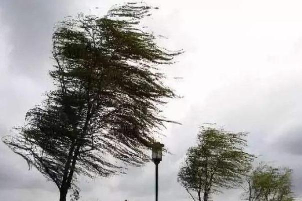 邯鄲突發大風 大風天氣安全防范措施