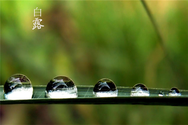 白露節氣的含義是什么 白露吃什么食物養生