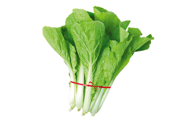 小白菜是什么季節的蔬菜 小白菜是涼性還是熱性