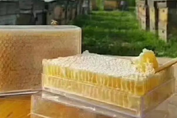 蜂巢蜜會發胖嗎 蜂巢蜜會結晶嗎