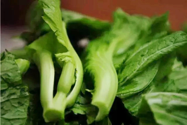 芥菜是什么季節的菜 芥菜是苦的嗎