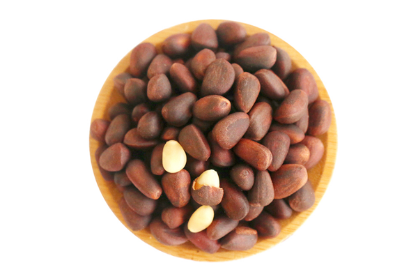 松子是什么季節(jié)收獲的 松子是哪里的特產