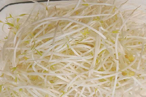 綠豆芽有點苦怎么回事 綠豆芽發苦還能吃嗎