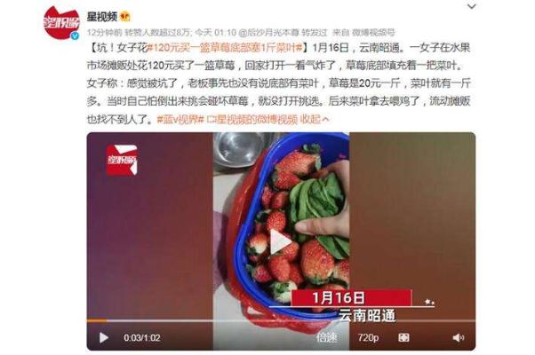 草莓什么季節成熟 120元買一籃草莓底部塞1斤菜葉