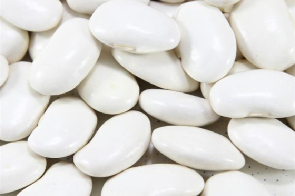 白蕓豆可以打豆漿喝嗎 白蕓豆打豆漿可以每天喝嗎