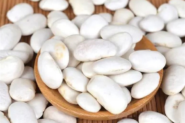 白蕓豆可以打豆漿喝嗎 白蕓豆打豆漿可以每天喝嗎