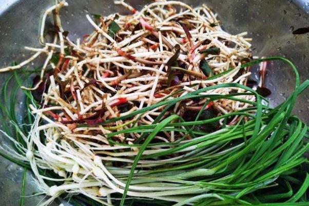 折耳根是發物嗎 折耳根是茅草根嗎