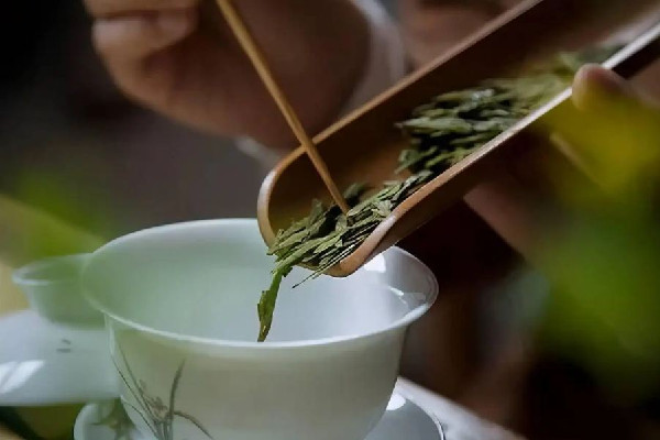 明前茶和明后茶有什么區別 明前茶是不是越早越好